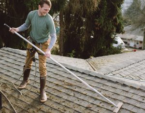 Professional cleaning house roof