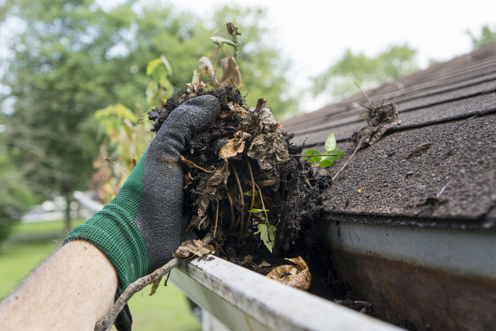 gutter cleaning can take out leaves and debris